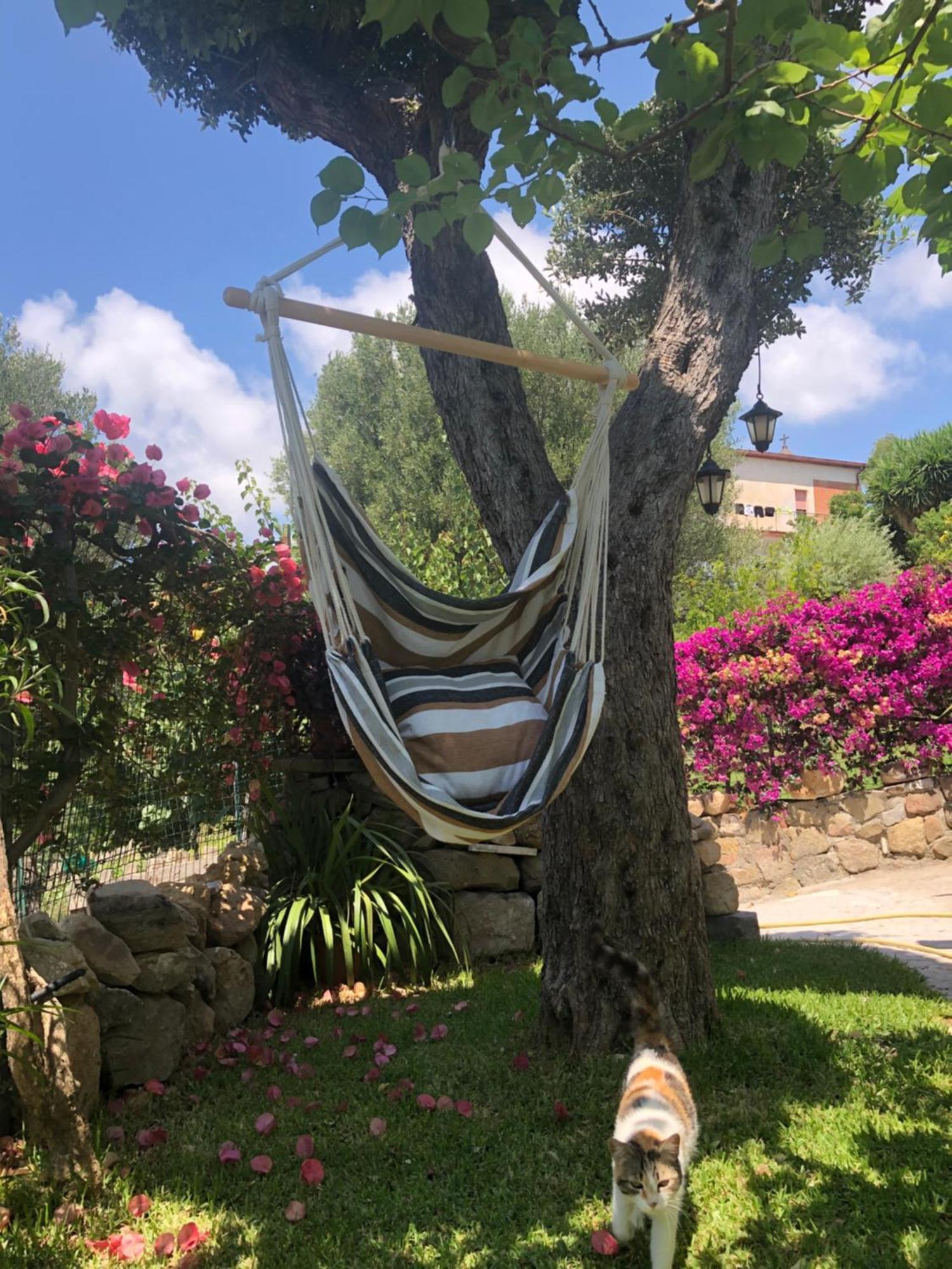 Il Vicolo Palinuro Villa ปิชอตตา ภายนอก รูปภาพ